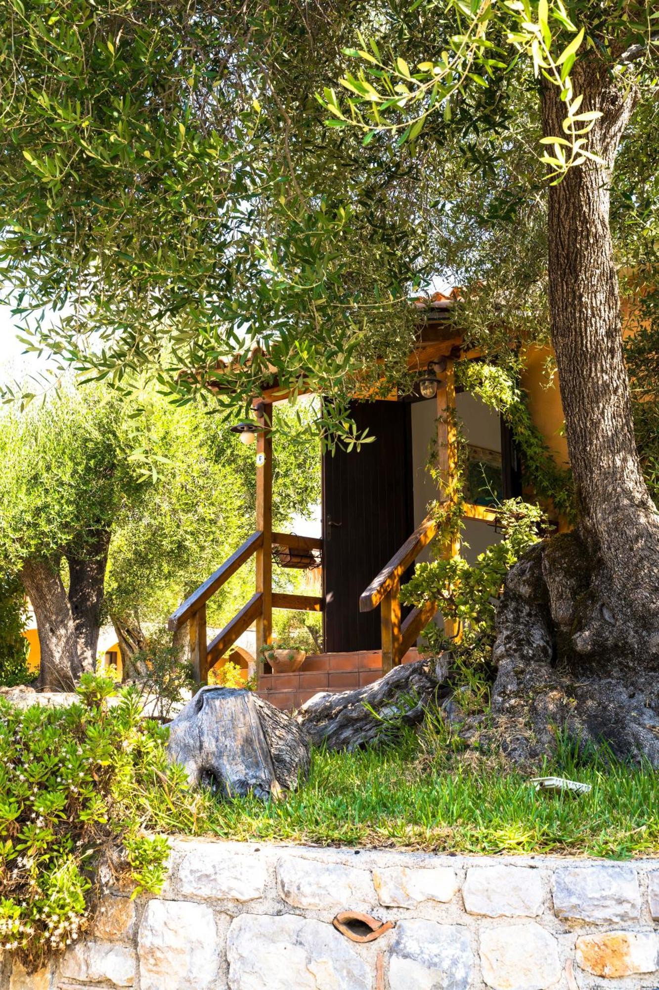 Park Hotel Cilento Marina di Camerota Exterior photo